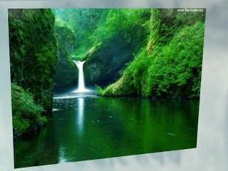 How I made 20% a month Trading Forex