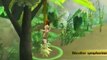 Les Sims 2 Naufragés (PSP) - La routine du naufragé