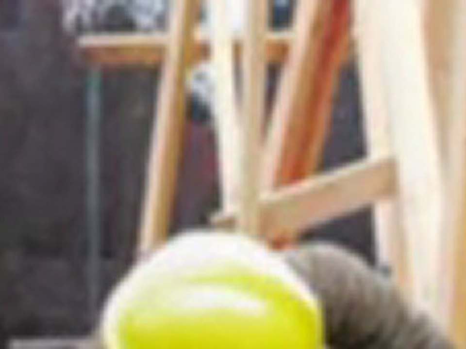 Palm Beach Roofer – Discover t he Experts Services.