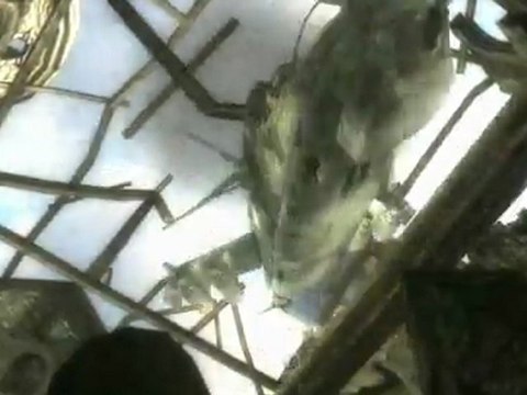 Conflict : Denied Ops (PS3) - Une action intense