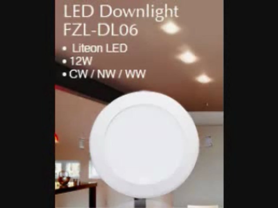 dlvideo_mpeg4