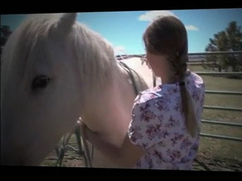 How To Train A Horse To Turn On The Forehand