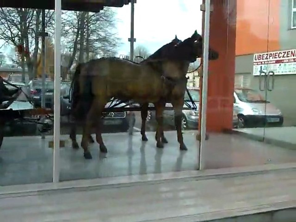 Okolica straz