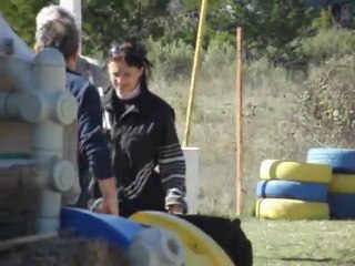 ARES DES PLATEAUX DE FEU