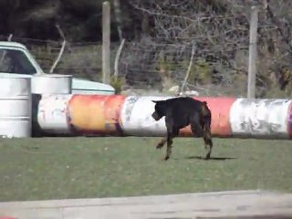 ARES DES PLATEAUX DE FEU