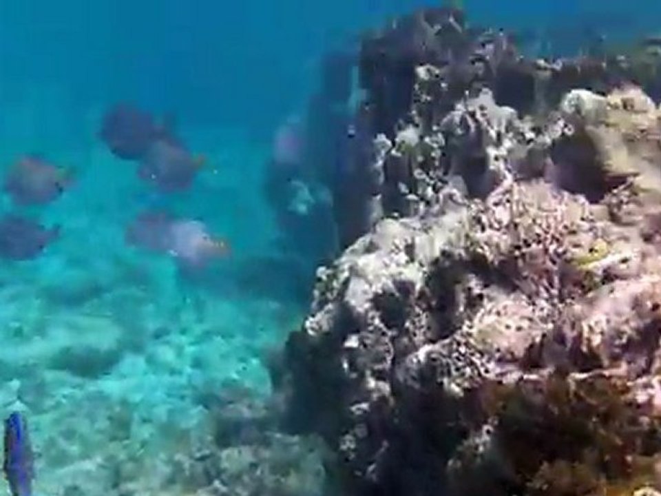 Cuba: Playa Corail2-Matanzas