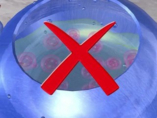 Neti pot deaths linked to Amoeba attacks