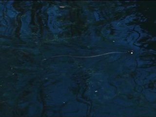 La Clé des champs, extrait 1