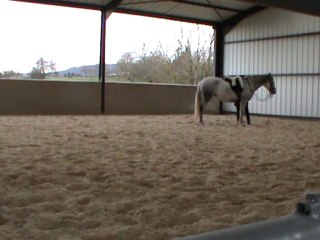 M2U01140 révérence, à genoux, campo