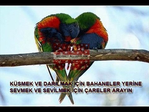 kurbani sural kürtçe müzikler klipler @ MEHMET ALİ ARSLAN Grup 2011- 2012 videoları kürtçe müzik dinle