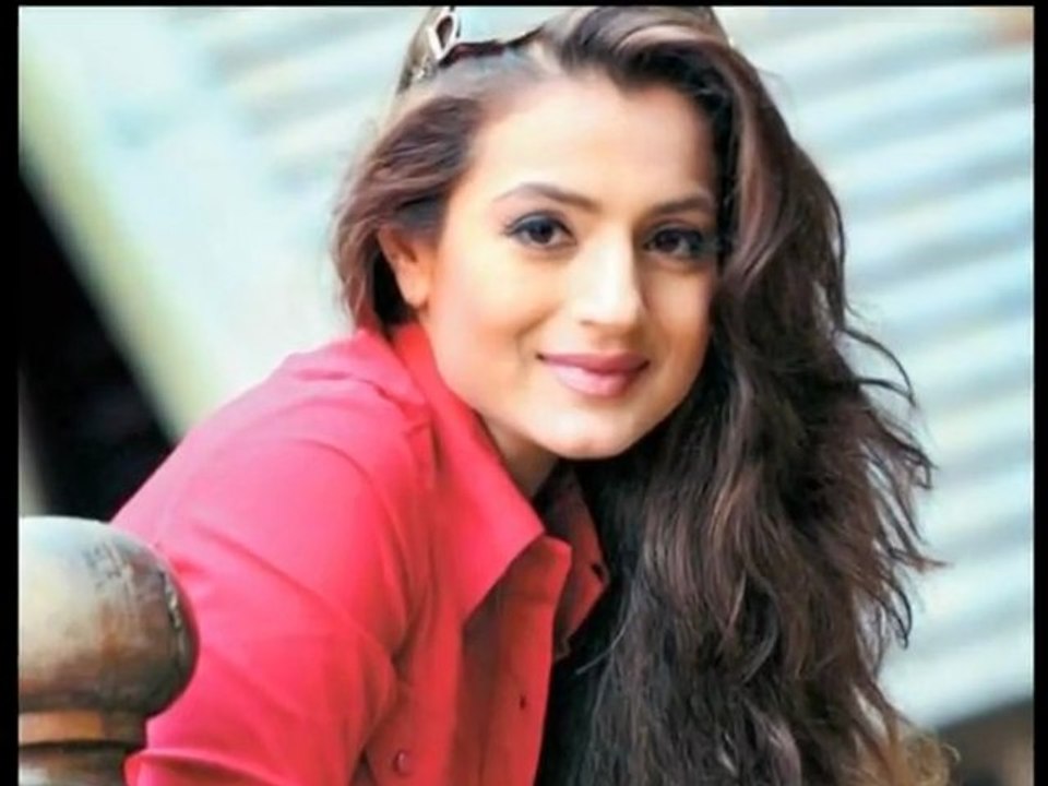 Sunny Deol And Ameesha Patel Come Together Again! - Bollywood News