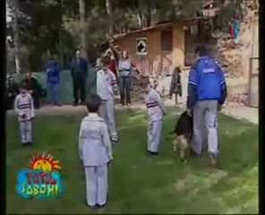 erdinç sarımusaoğlu