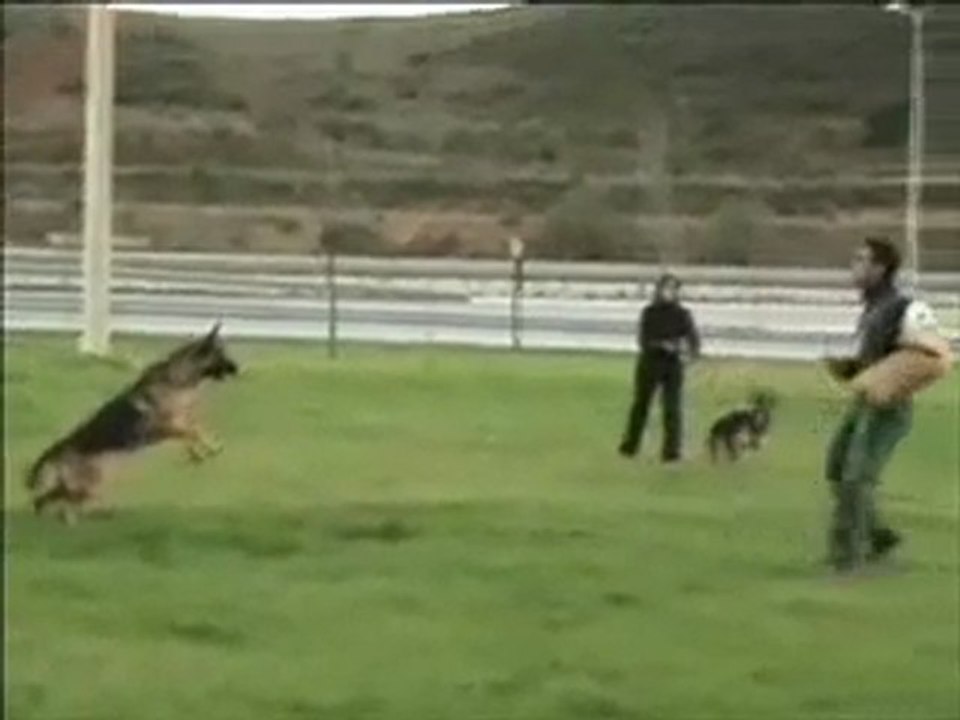 Von Juliet