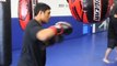 Revgear Sentinel Gel Pro Boxing Gloves - Combat ...