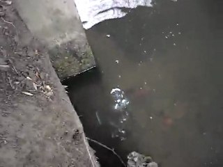 Petard Super Pyratt 2 coups