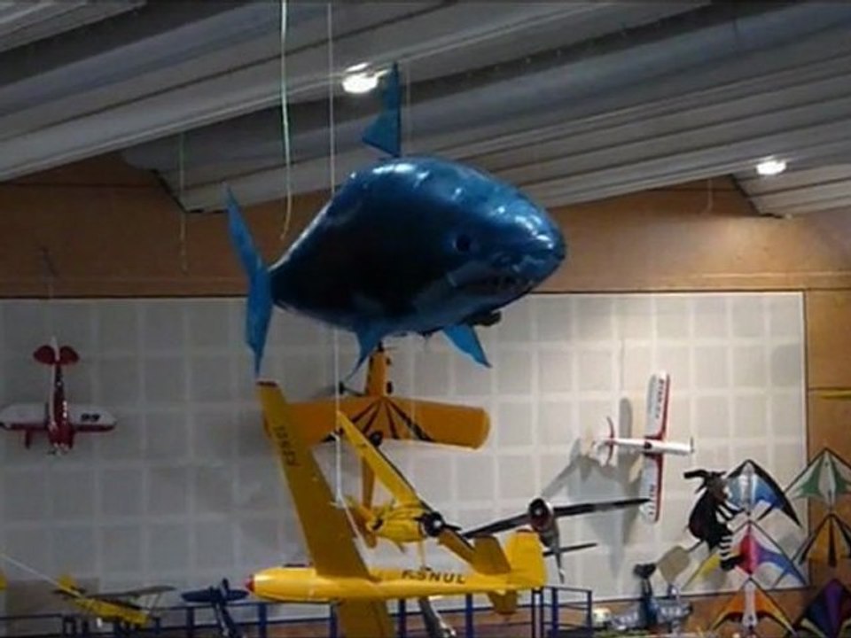 requin volant