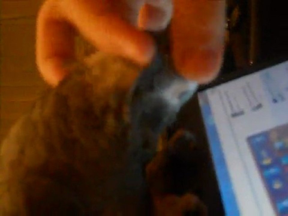 haydut kafa sevdiriyor