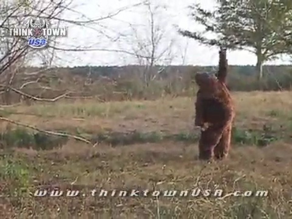 Bigfoot caught Tebow-ing!