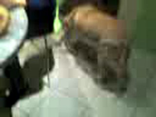 Chien de "Race:Labrador Retriever(Pataud) 3