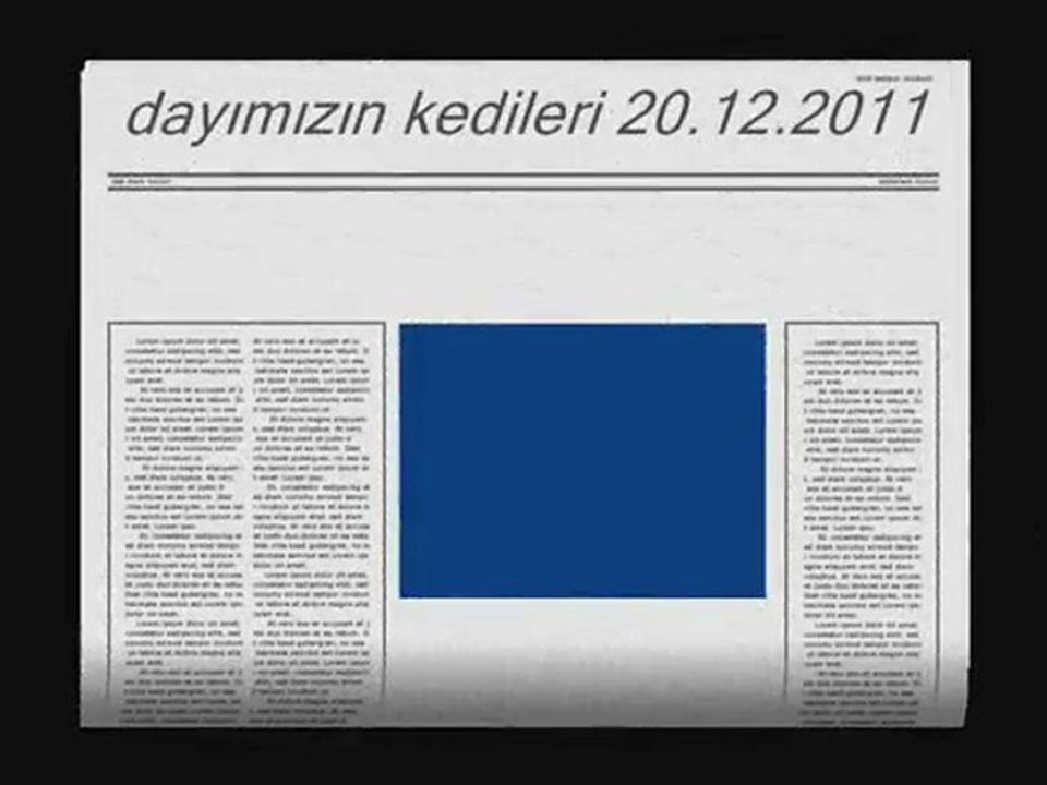 dayımızın kedileri/ZONGULDAK