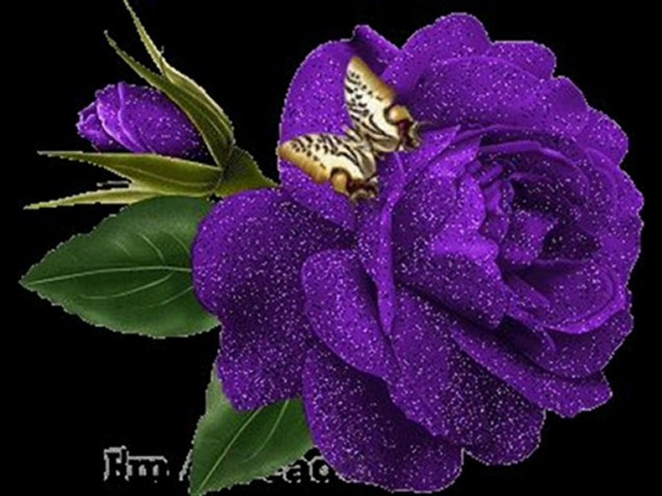 BENİ CANIMDAN GÖNLÜMÜ YIKTI TEMELİNDEN