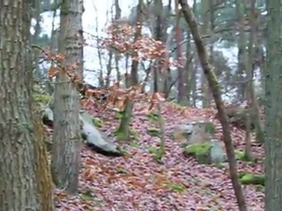 Volcan, Fighter : 19.12.11