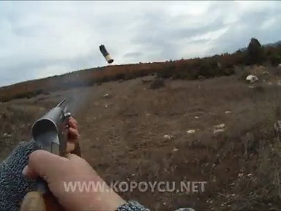 SAFKAN  KOPOYLAR İLE TAVŞAN AVI www.kopoycu.net  (T.Gümüş)