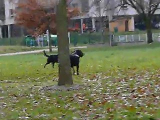 tina cayenne et jorha