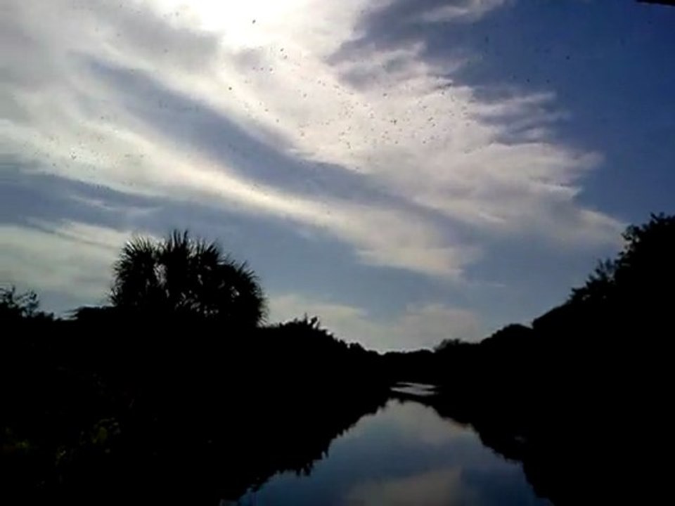 North Port Florida - Birds Fly Near Canal... Nice View...