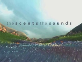 Flower (PS3) - Souvenirs de fleurs