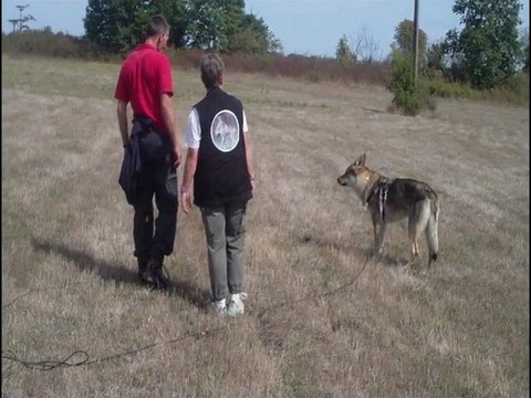 travail de l'objet recherche utilitaire 1