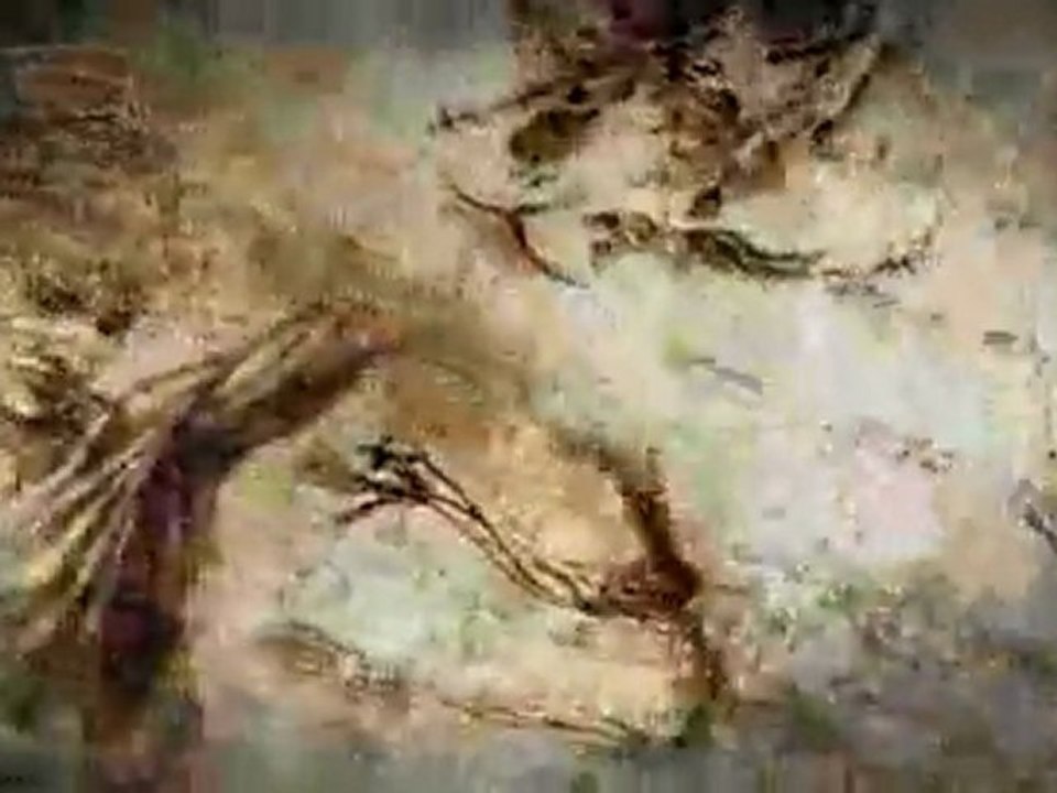 Assassin’s Creed II (PS3) - Teaser II