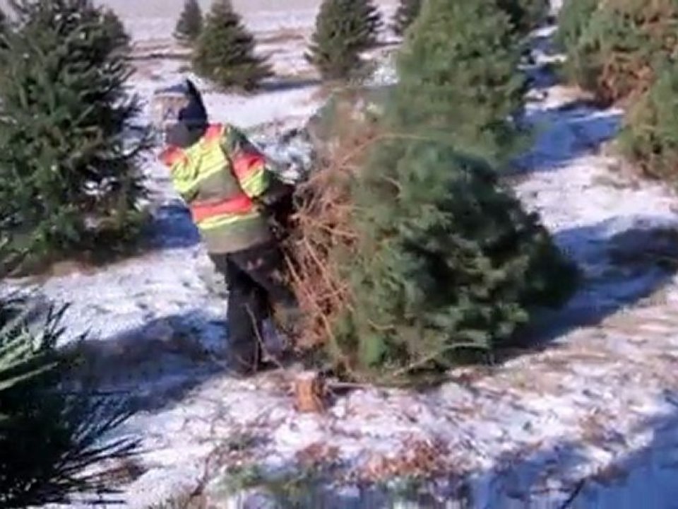 Mon beau sapin - 2011 -