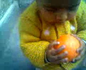 Video0060
