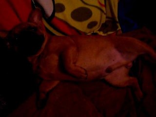 Kenzo pas envie d'aller faire pipi 5 mois 1/2