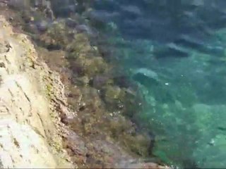 احمد جستن اغنية نجاة الصغيرة