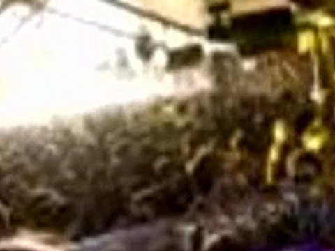 Welcome to trek909 – Adventure - electronic dance music USA