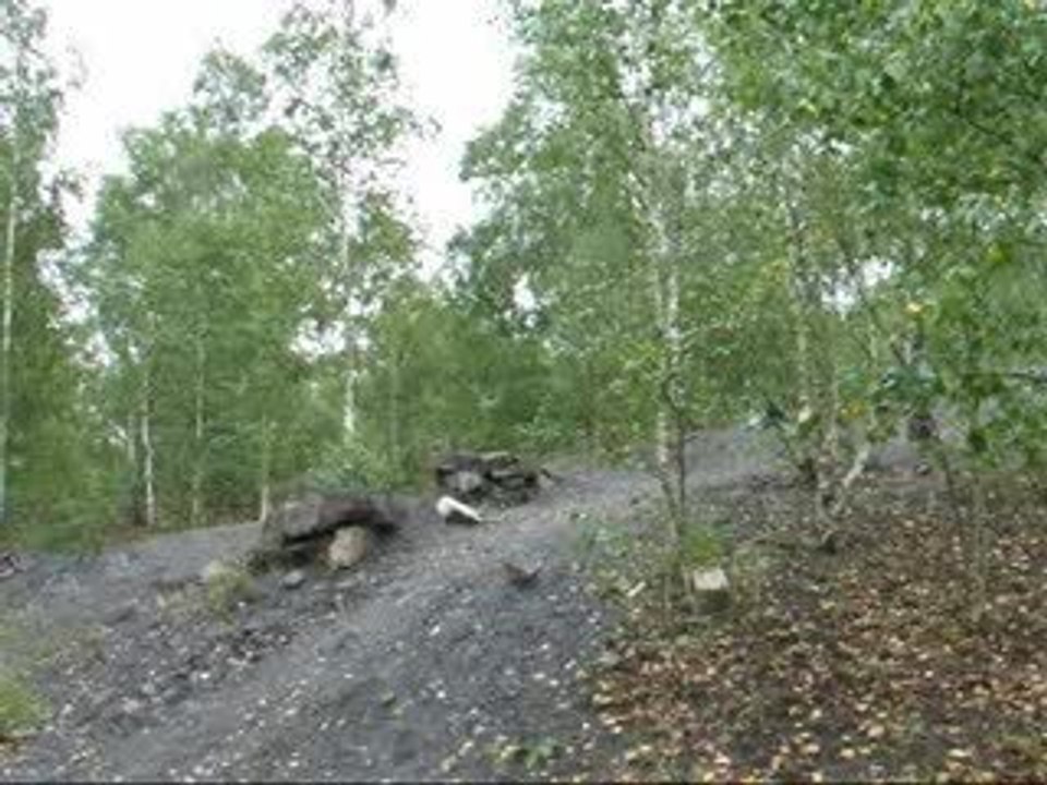 ludo gap