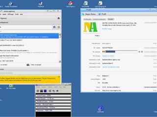 Utiliser Skype à 100 %