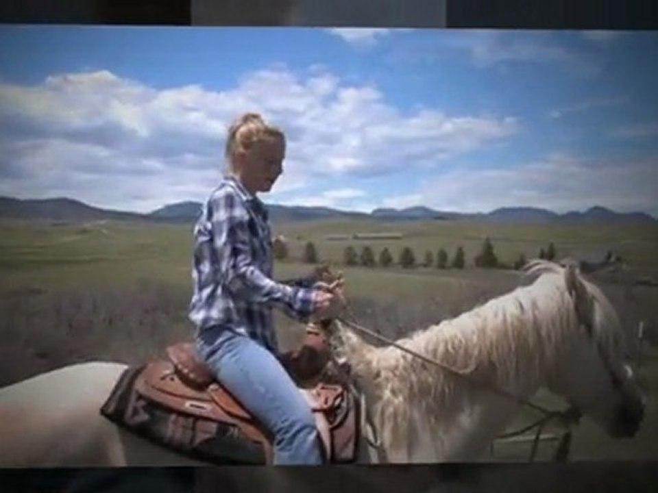 Horse Exercises To Train Horses To Be Calm, Light, and Responsive