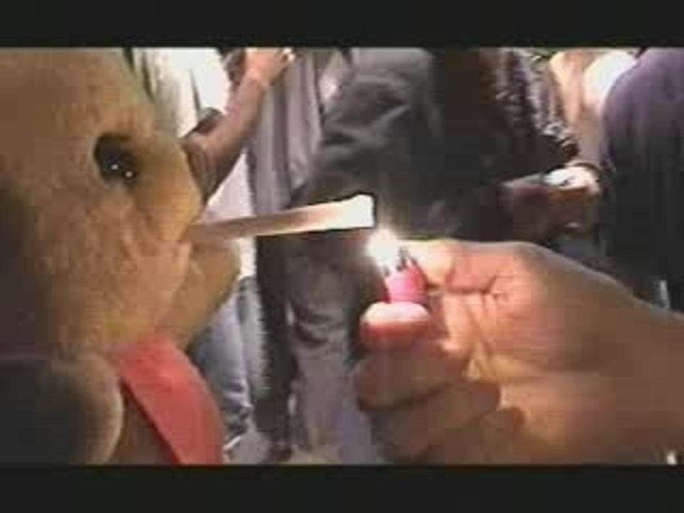 l'ours qui dit non Ã  la drogue