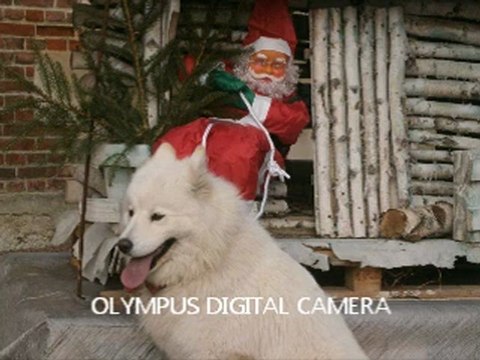 chevrieres decoraton avec cannelle