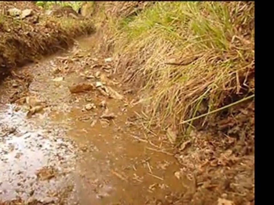 L'eau, comme l'oxygène...