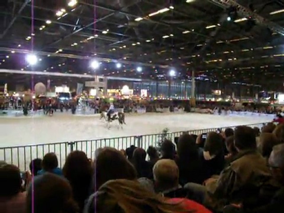 paint rening salon du cheval 2011