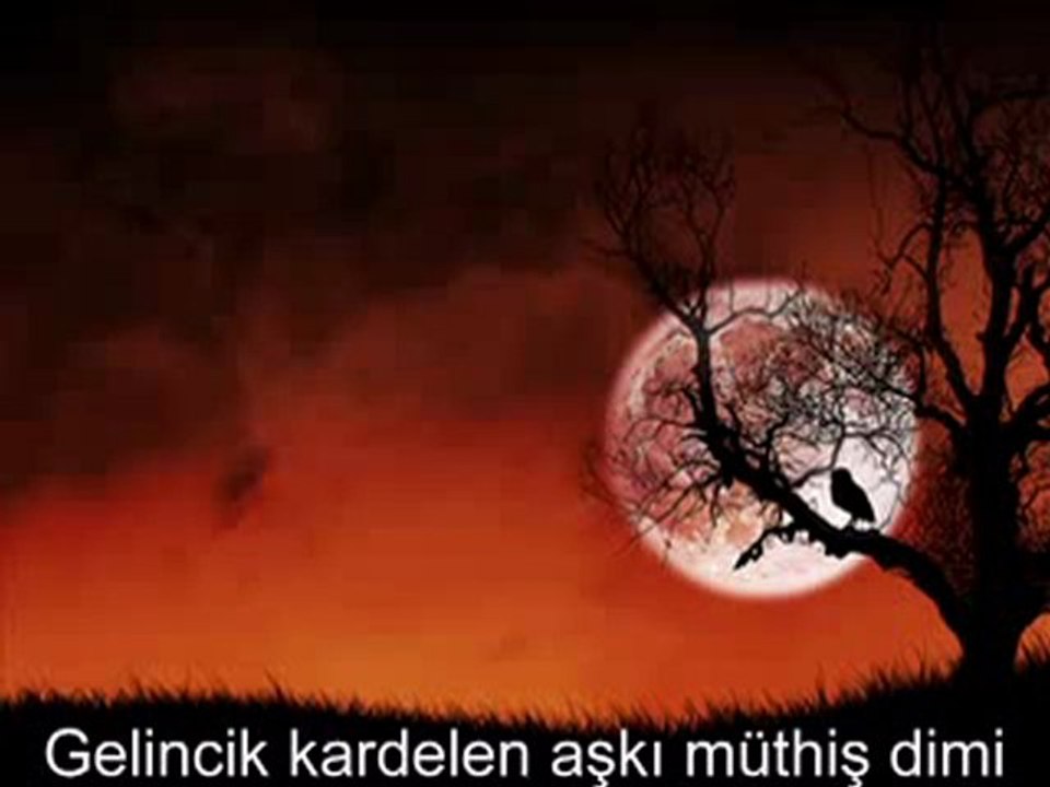 Gürcan Koç  Gelincikle Kardelenin Aşkı