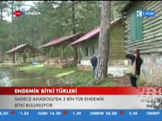 Türkiye Ajansı - 07.06.2010