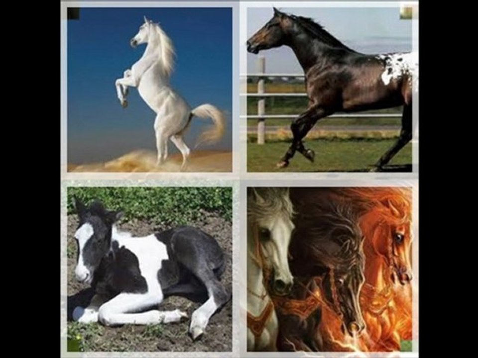 EQUINOS