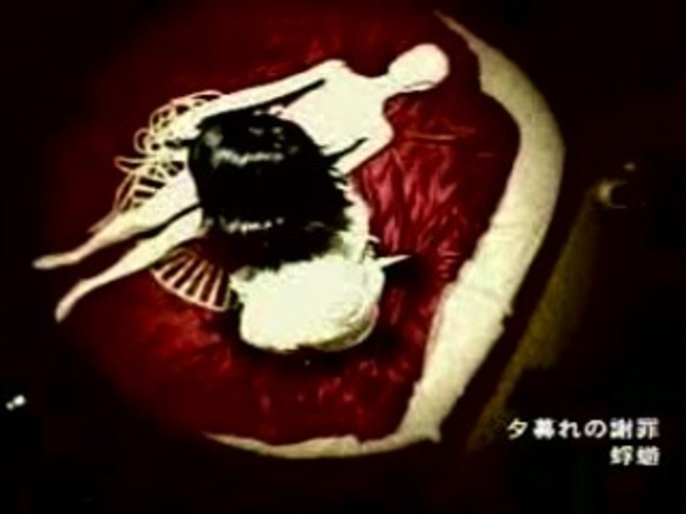 Kagerou - yuugure no shazai