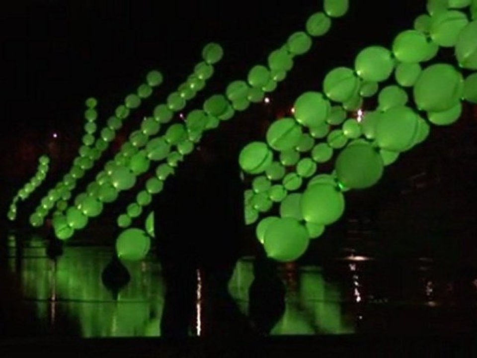 Algues Lumineuses Fête des Lumières Lyon 2011 Aerosculpture