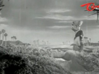 Kalasi Vunte Kaladu Sukham - Telugu Songs - Mudda Banthi Poolu Petti - NTR - Savitri
